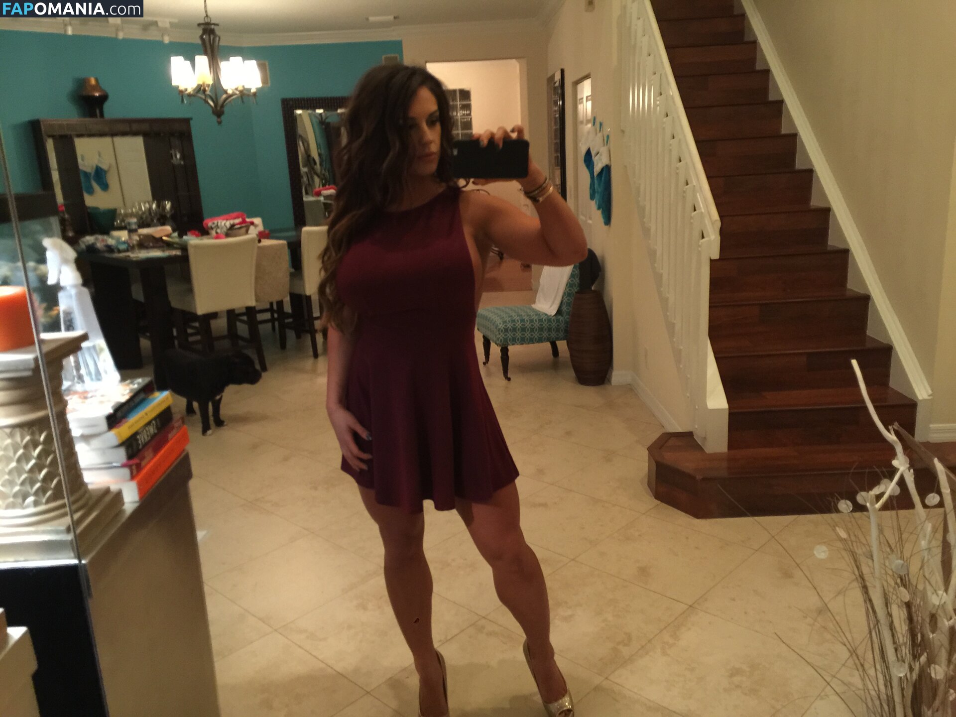 Kaitlyn WWE Nahý Uniklá fotka #35