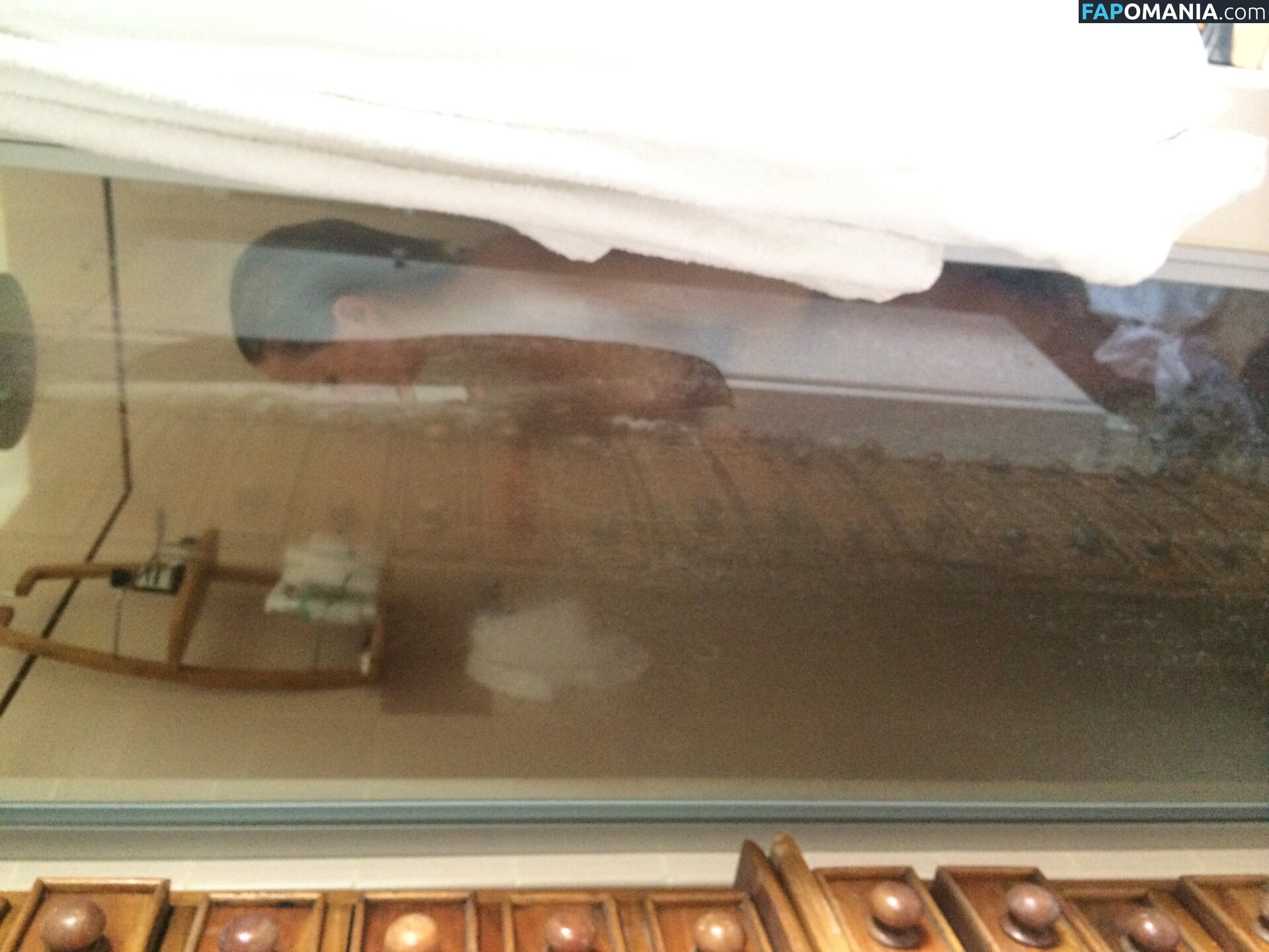 Lara Bingle Nahý Uniklá fotka #245