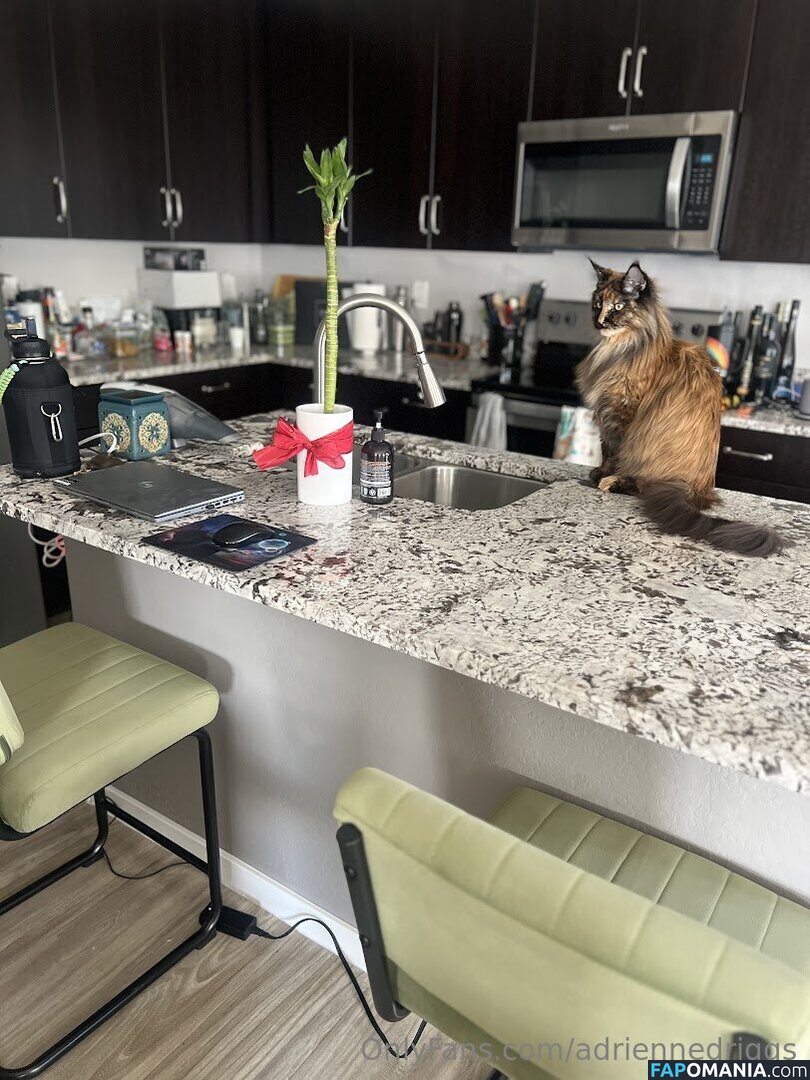 adrienne.driggs / adriennedriggs Nahý OnlyFans  Uniklá fotka #9