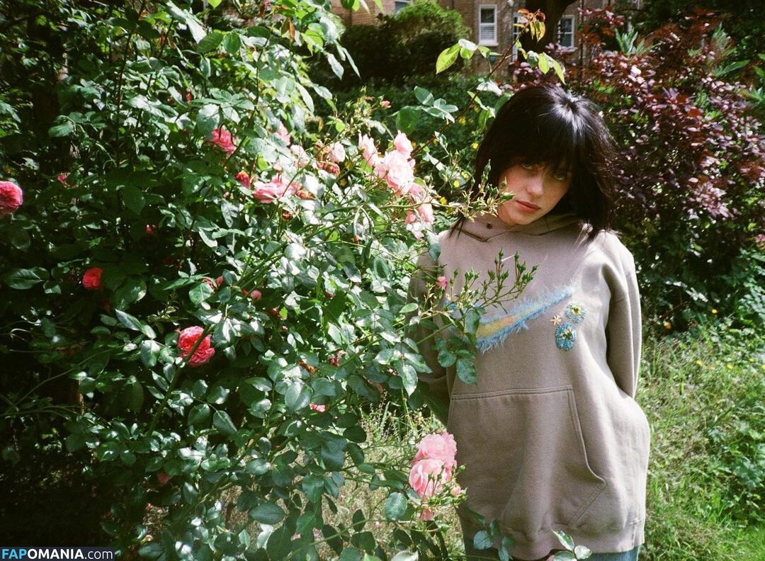 Billie Eilish / Fake / billeeilish / billieeilish Nahý OnlyFans  Uniklá fotka #2228