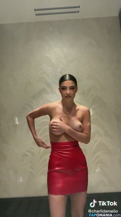Charli D'Amelio / Charli Damelio / charlidamelio / charliesdamelio Nahý OnlyFans  Uniklá fotka #72