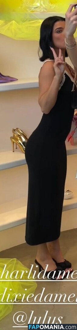 Charli D'Amelio / Charli Damelio / charlidamelio / charliesdamelio Nahý OnlyFans  Uniklá fotka #1287