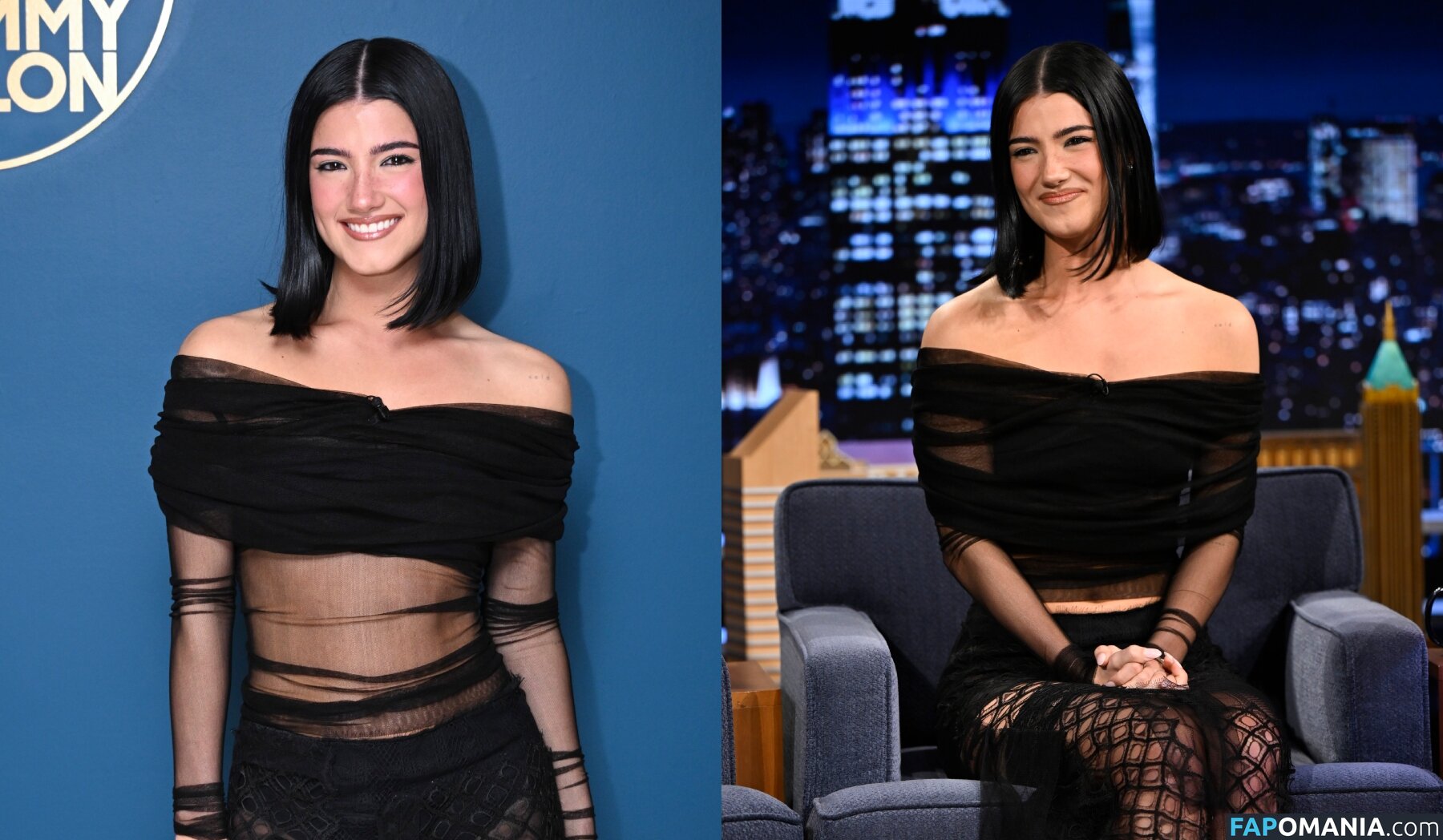 Charli D'Amelio / Charli Damelio / charlidamelio / charliesdamelio Nahý OnlyFans  Uniklá fotka #1560