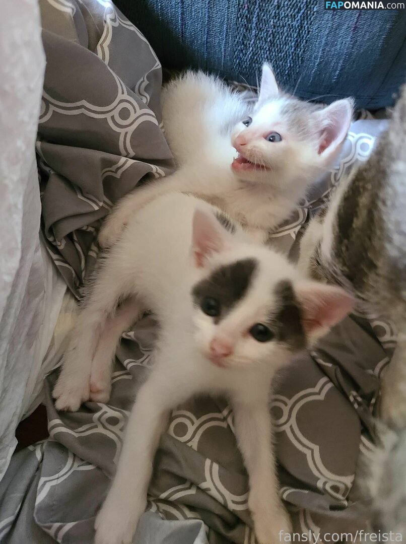 Freista / Tittykona / _mofreitas Nahý OnlyFans  Uniklá fotka #16