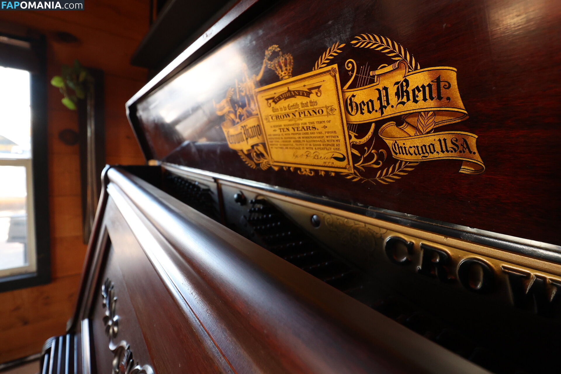 harlemhookup Nahý OnlyFans  Uniklá fotka #20