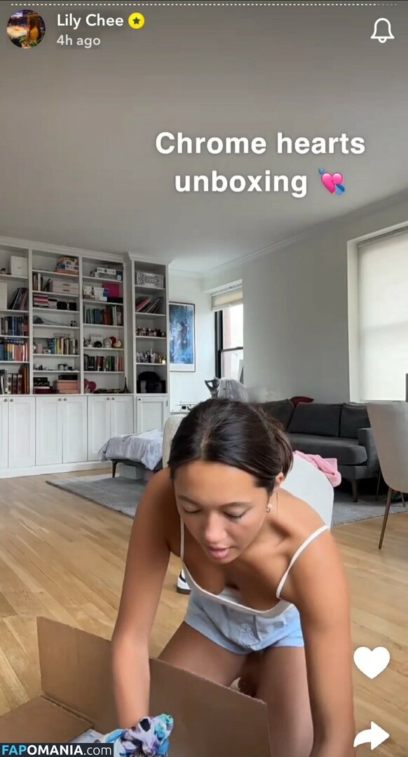 Lily Chee / lilychee Nahý OnlyFans  Uniklá fotka #468