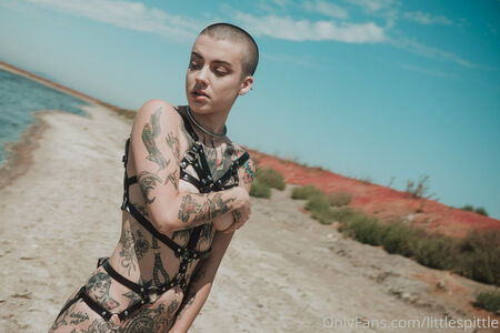 Little Spittle