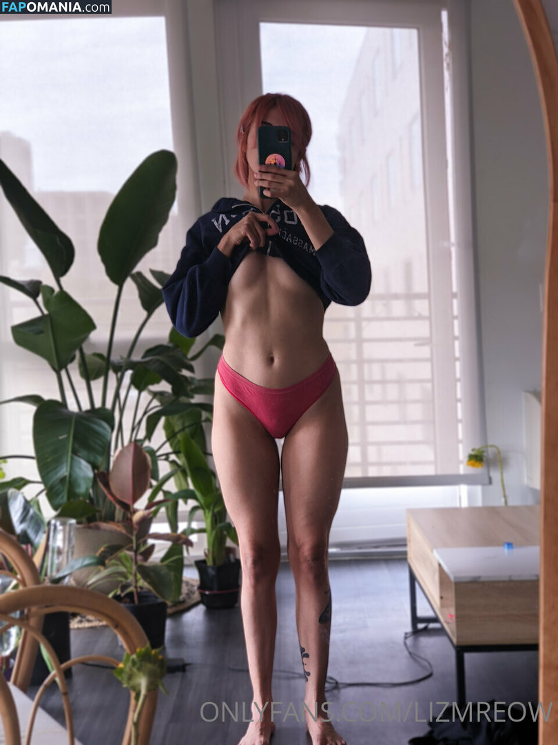 Lizmreow / lizmeow Nahý OnlyFans  Uniklá fotka #19