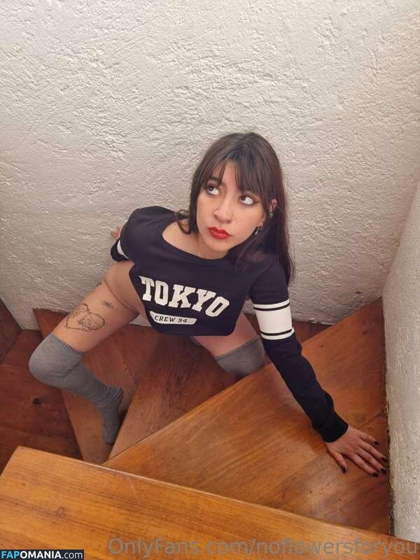 NoFlowers4You / NoFlowersForYou / NoFlowersForYou... / NoFlowersForYou_ / assets / https: / noflowersforu Nahý OnlyFans  Uniklá fotka #11