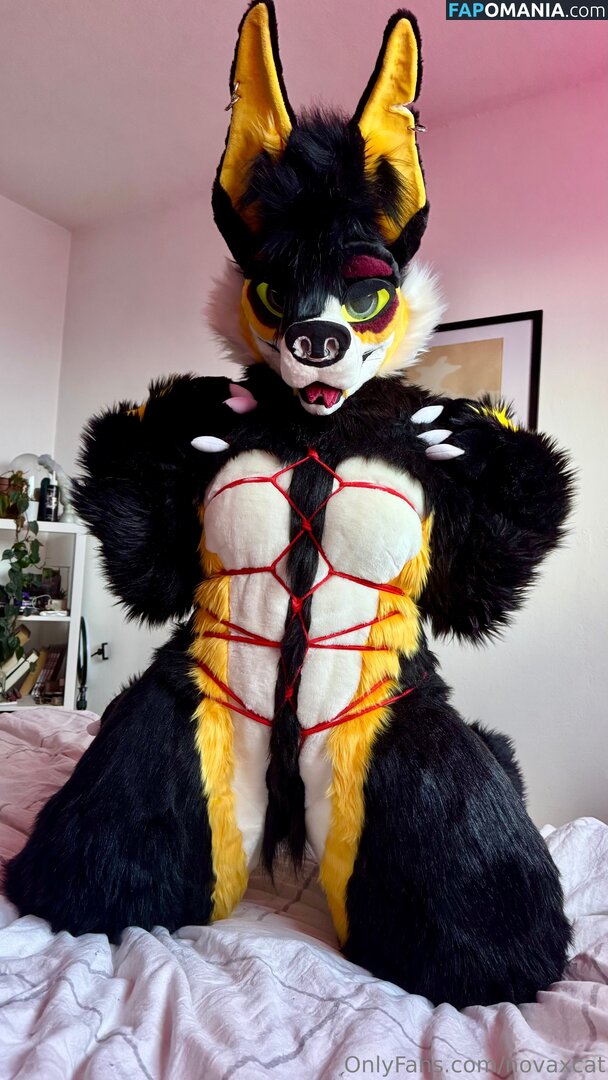 novaxcat / novaxxcat Nahý OnlyFans  Uniklá fotka #1