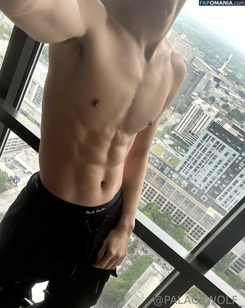 palacewolf / palacewolfent Nahý OnlyFans  Uniklá fotka #4