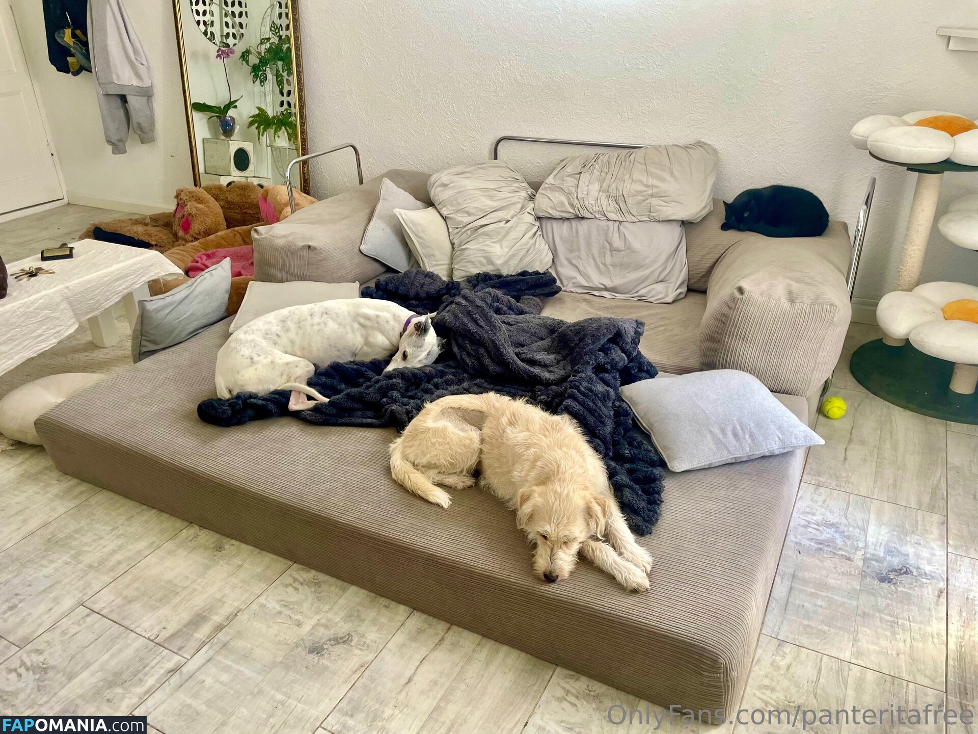 panteritafree Nahý OnlyFans  Uniklá fotka #6