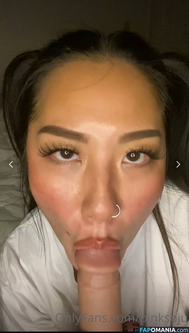 PlNKSOJU / denisetamsi / pinksoju Nahý OnlyFans  Uniklá fotka #11