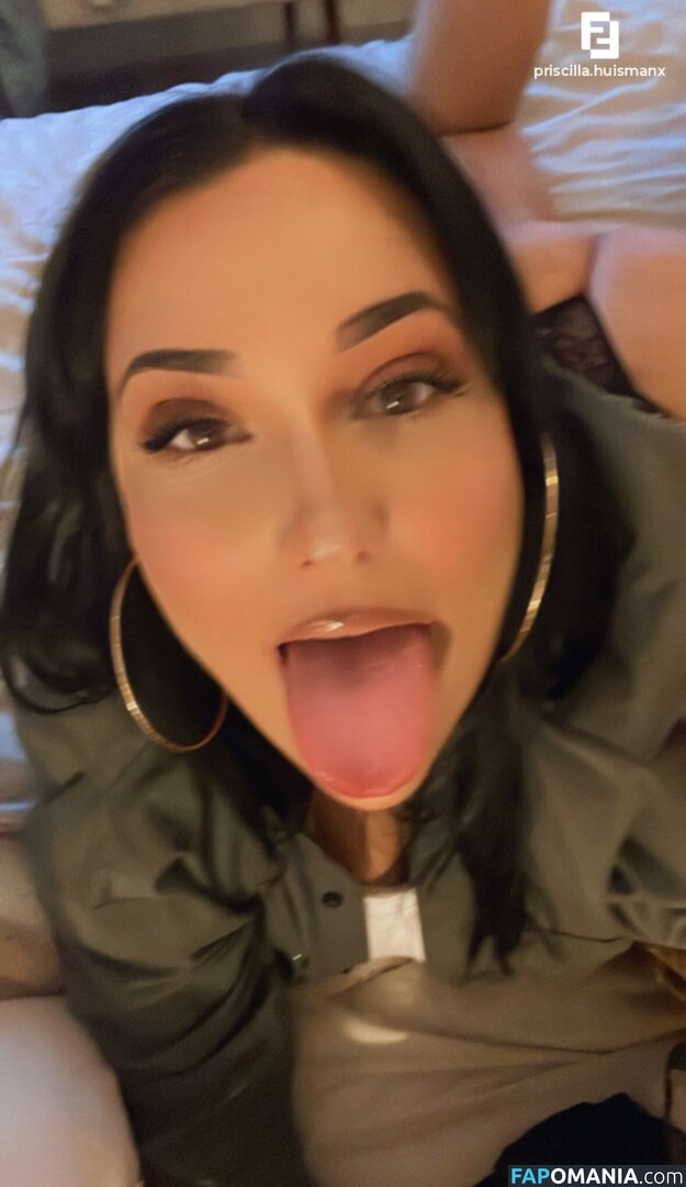 Priscilla Huisman / priscilla.huismanx Nahý OnlyFans  Uniklá fotka #15