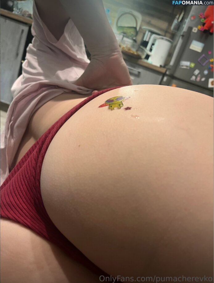 Margarita / Puma Cherevko / pumacherevko Nahý OnlyFans  Uniklá fotka #17