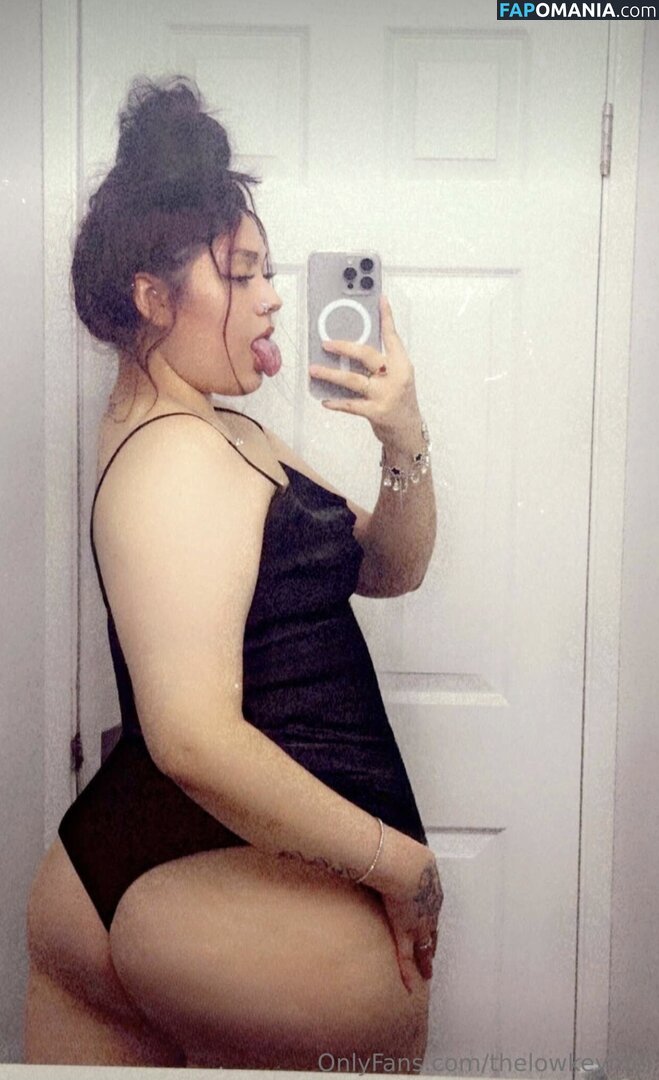 TheLowkeyMel / theofficiallmel Nahý OnlyFans  Uniklá fotka #13