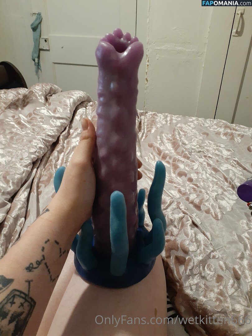kitty.valentine.92372 / wetkitten666 Nahý OnlyFans  Uniklá fotka #13