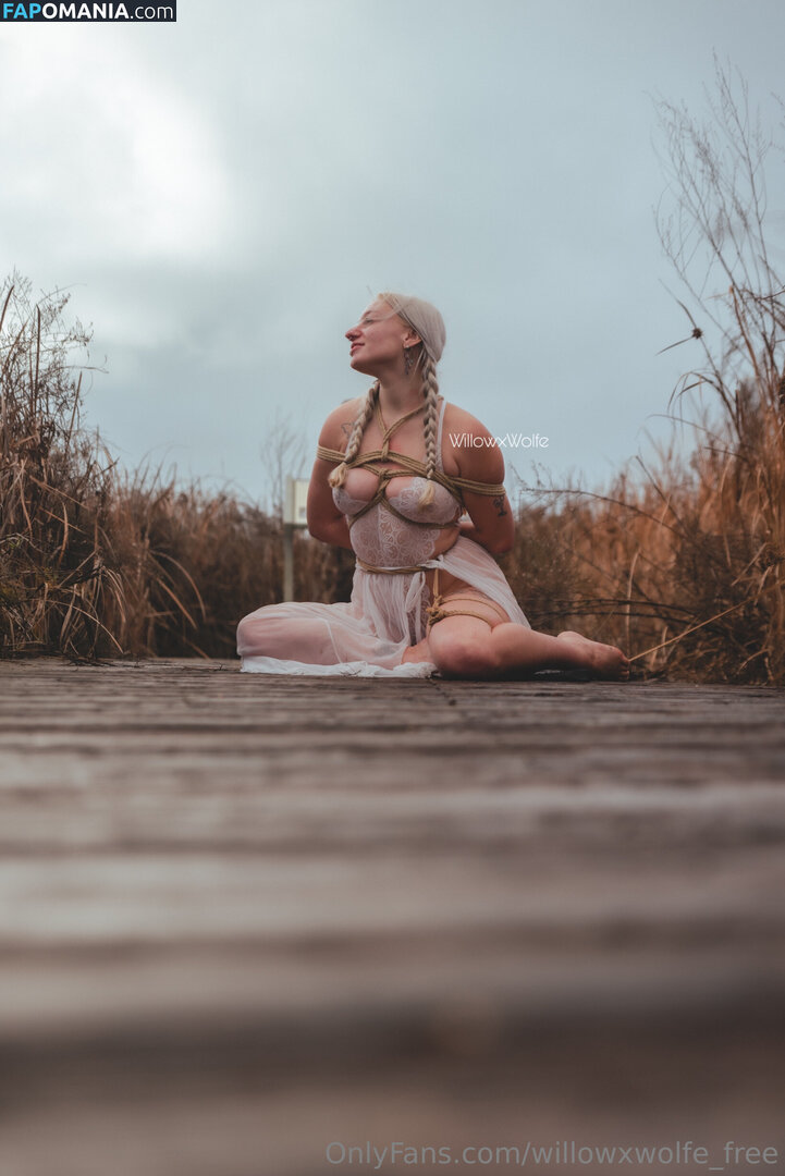 willowxwolfe / willowxwolfe_free Nahý OnlyFans  Uniklá fotka #11