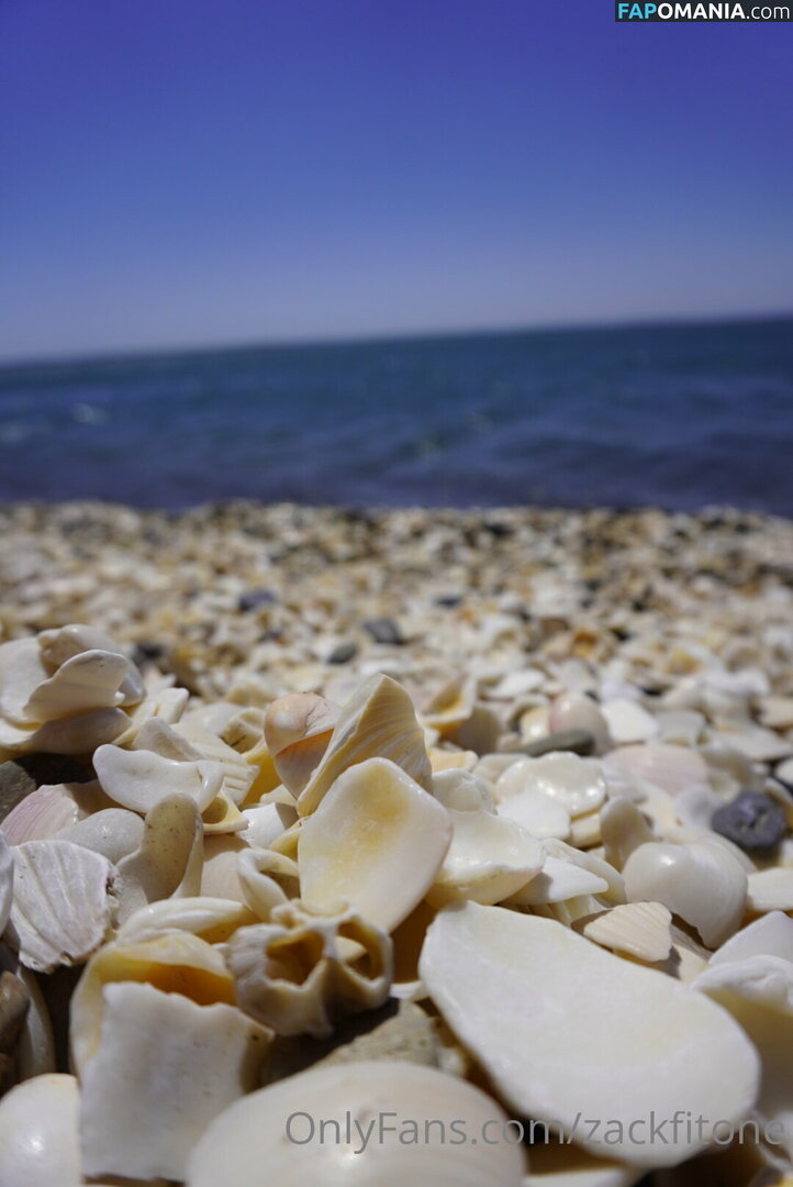 zackfitone Nahý OnlyFans  Uniklá fotka #15