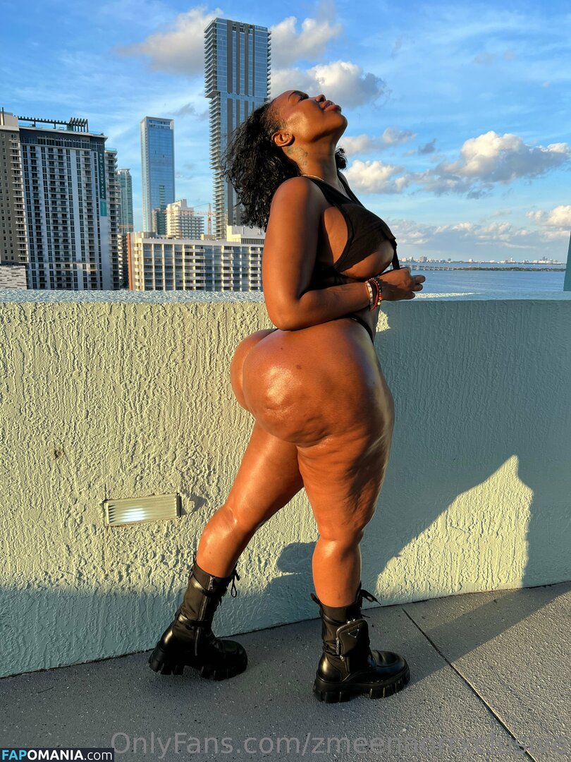 zmeenaorr / zmeenaorrxclusive Nahý OnlyFans  Uniklá fotka #12